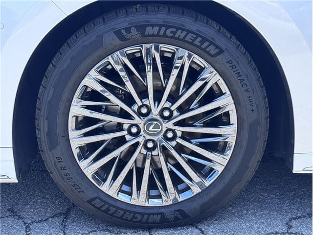 2021 Lexus LM500H EXECUTIVE (5AA-TAWH15W), foto 13
