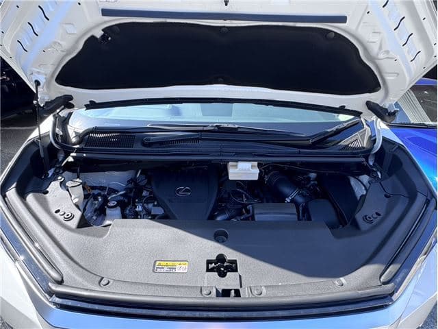 2021 Lexus LM500H EXECUTIVE (5AA-TAWH15W), foto 14