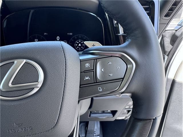 2021 Lexus LM500H EXECUTIVE (5AA-TAWH15W), foto 25